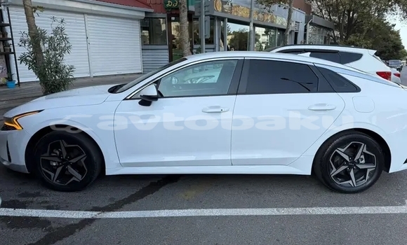 Buy Used Kia K5 White Car in Ali Bayramli in Mugan-Salyan