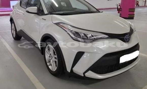 Buy Used Toyota C-HR White Car in Baki in Abseron