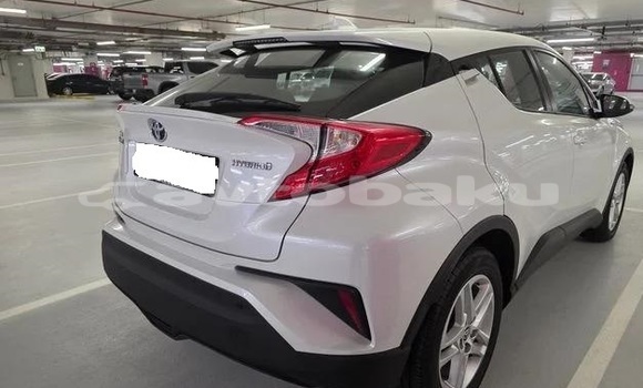 Buy Used Toyota C-HR White Car in Baki in Abseron Buy Used Toyota C-HR White Car in Baki in Abseron