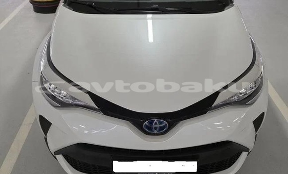 Buy Used Toyota C-HR White Car in Baki in Abseron Buy Used Toyota C-HR White Car in Baki in Abseron