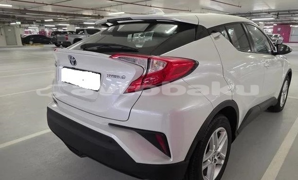 Buy Used Toyota C-HR White Car in Baki in Abseron Buy Used Toyota C-HR White Car in Baki in Abseron
