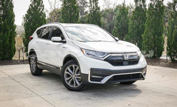 Buy Used Honda CR–V White Car in Baki in Abseron