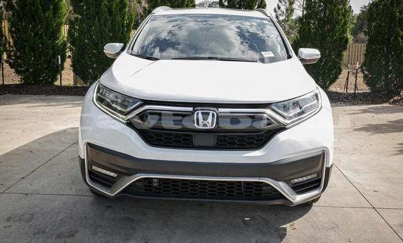Buy Used Honda CR–V White Car in Baki in Abseron Buy Used Honda CR–V White Car in Baki in Abseron