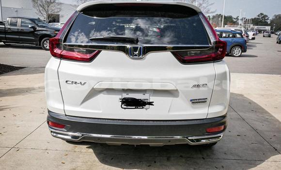 Buy Used Honda CR–V White Car in Baki in Abseron Buy Used Honda CR–V White Car in Baki in Abseron