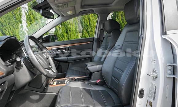 Buy Used Honda CR–V White Car in Baki in Abseron Buy Used Honda CR–V White Car in Baki in Abseron