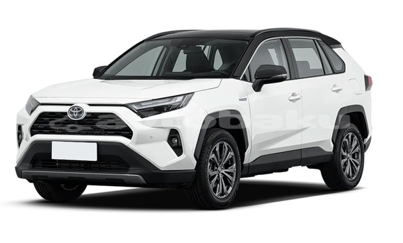 Buy New Toyota RAV4 White Car in Qarasuxur in Abseron Buy New Toyota RAV4 White Car in Qarasuxur in Abseron