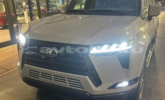 Buy Used Lexus GX White Car in Agstafa in Qazax