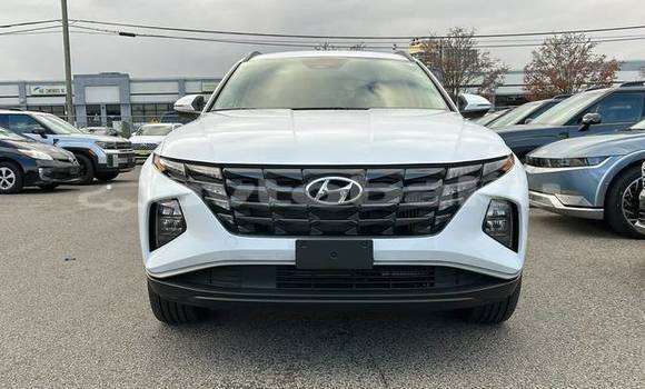 Buy Used Hyundai Tucson White Car in Baki in Abseron Buy Used Hyundai Tucson White Car in Baki in Abseron