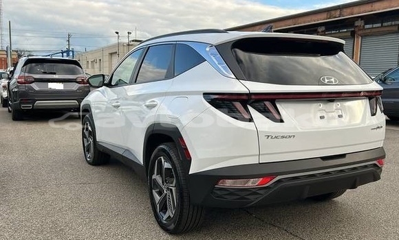 Buy Used Hyundai Tucson White Car in Baki in Abseron Buy Used Hyundai Tucson White Car in Baki in Abseron