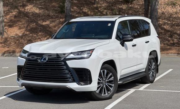 Buy Used Lexus LX White Car in Ali Bayramli in Mugan-Salyan