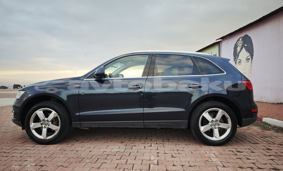 Buy Used Audi Q5 Black Car in Naxcivan in Naxcivan Buy Used Audi Q5 Black Car in Naxcivan in Naxcivan
