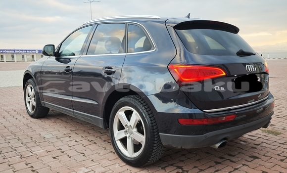 Buy Used Audi Q5 Black Car in Naxcivan in Naxcivan Buy Used Audi Q5 Black Car in Naxcivan in Naxcivan