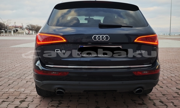 Buy Used Audi Q5 Black Car in Naxcivan in Naxcivan Buy Used Audi Q5 Black Car in Naxcivan in Naxcivan