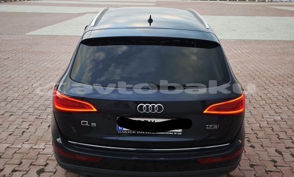 Buy Used Audi Q5 Black Car in Naxcivan in Naxcivan Buy Used Audi Q5 Black Car in Naxcivan in Naxcivan