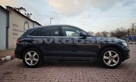 Buy Used Audi Q5 Black Car in Naxcivan in Naxcivan Buy Used Audi Q5 Black Car in Naxcivan in Naxcivan