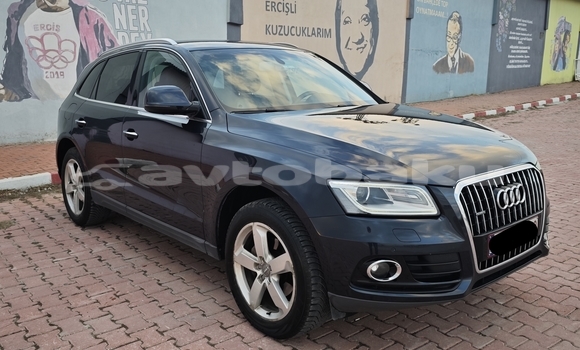 Buy Used Audi Q5 Black Car in Naxcivan in Naxcivan Buy Used Audi Q5 Black Car in Naxcivan in Naxcivan