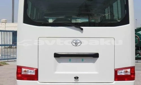 Buy Used Toyota Coaster White Car in Baki in Abseron Buy Used Toyota Coaster White Car in Baki in Abseron