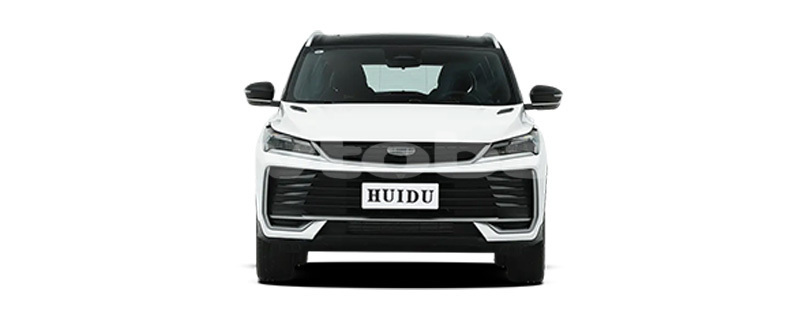 Big with watermark geely beauty leopard qazax kovlar 5061