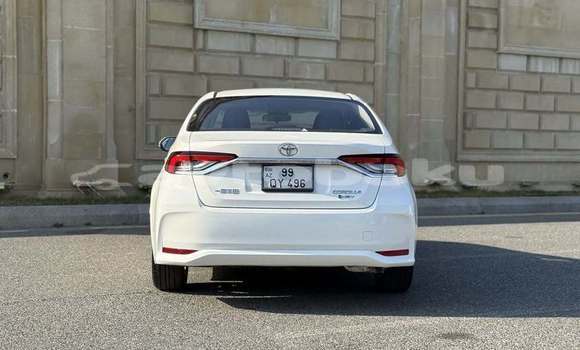 Buy Used Toyota Corolla White Car in Agdam in Mil-Qarabax Buy Used Toyota Corolla White Car in Agdam in Mil-Qarabax