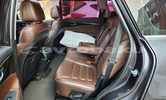 Buy Used Kia Sorento Other Car in Agdam in Mil-Qarabax Buy Used Kia Sorento Other Car in Agdam in Mil-Qarabax