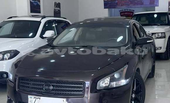 Buy Used Nissan Maxima Other Car in Alat in Abseron