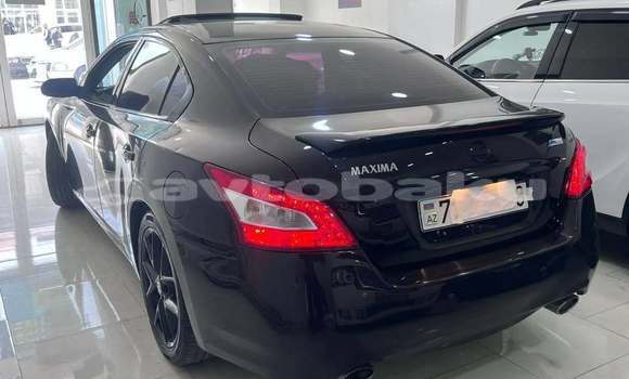 Buy Used Nissan Maxima Other Car in Alat in Abseron Buy Used Nissan Maxima Other Car in Alat in Abseron