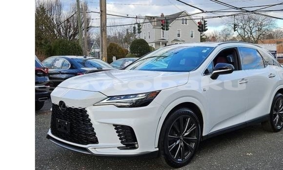 Buy Used Lexus RX 350 White Car in Baki in Abseron