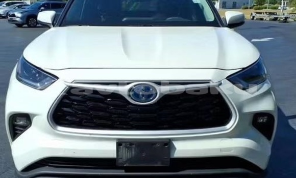 Buy Used Toyota Highlander White Car in Baki in Abseron