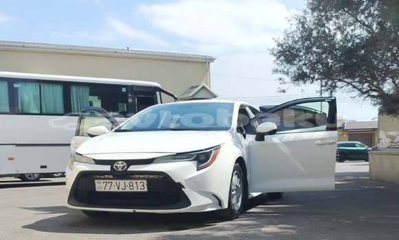 Buy Used Toyota Corolla White Car in Baki in Abseron