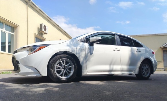 Buy Used Toyota Corolla White Car in Baki in Abseron Buy Used Toyota Corolla White Car in Baki in Abseron