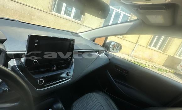 Buy Used Toyota Corolla White Car in Baki in Abseron Buy Used Toyota Corolla White Car in Baki in Abseron