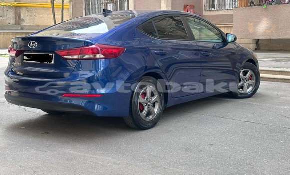 Buy Used Hyundai Elantra Blue Car in Agdam in Mil-Qarabax Buy Used Hyundai Elantra Blue Car in Agdam in Mil-Qarabax