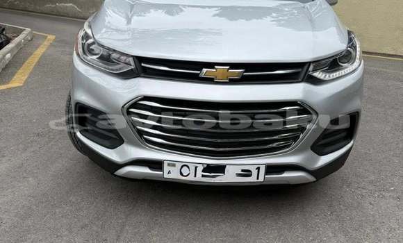 Buy Used Chevrolet Tracker Other Car in Beylaqan in Priaraks
