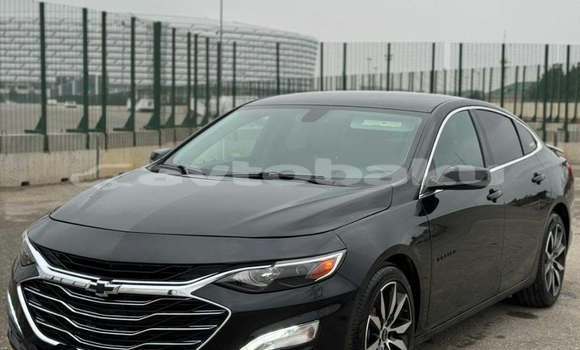 Buy Used Chevrolet Malibu Black Car in Bilasuvar in Mugan-Salyan