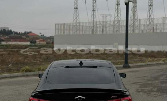 Buy Used Chevrolet Malibu Black Car in Bilasuvar in Mugan-Salyan Buy Used Chevrolet Malibu Black Car in Bilasuvar in Mugan-Salyan