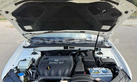 Buy Used Hyundai Sonata White Car in Barda in Mil-Qarabax Buy Used Hyundai Sonata White Car in Barda in Mil-Qarabax