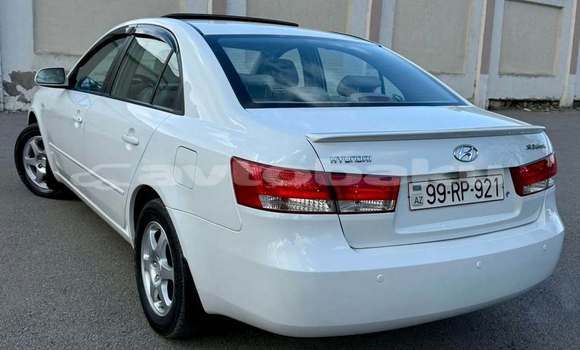 Buy Used Hyundai Sonata White Car in Barda in Mil-Qarabax Buy Used Hyundai Sonata White Car in Barda in Mil-Qarabax