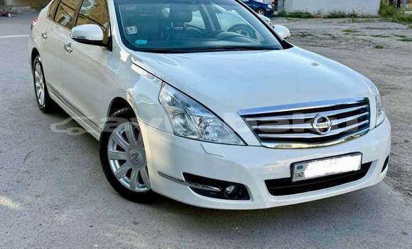 Buy Used Nissan Teana White Car in Astara in Lankaran