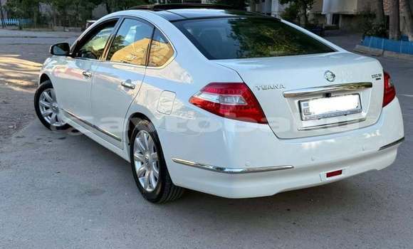 Buy Used Nissan Teana White Car in Astara in Lankaran Buy Used Nissan Teana White Car in Astara in Lankaran