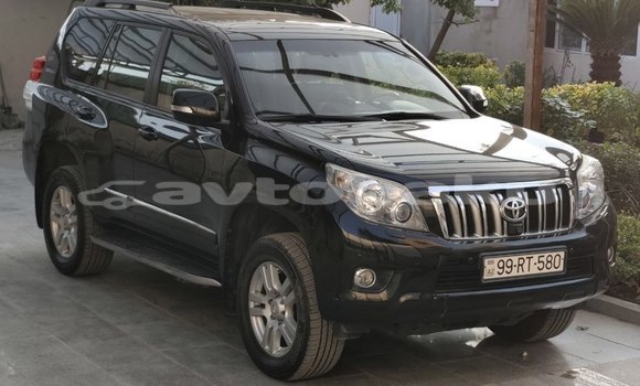 Buy Used Toyota Land Cruiser Prado Black Car in Baki in Abseron