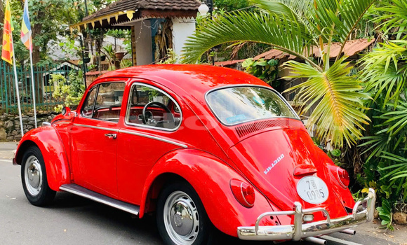 Buy VW beetle us 1956-1966 in Agcabadi in Mil-Qarabax Buy VW beetle us 1956-1966 in Agcabadi in Mil-Qarabax