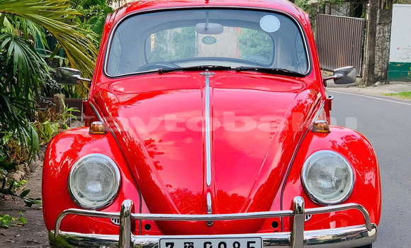 Buy VW beetle us 1956-1966 in Agcabadi in Mil-Qarabax Buy VW beetle us 1956-1966 in Agcabadi in Mil-Qarabax