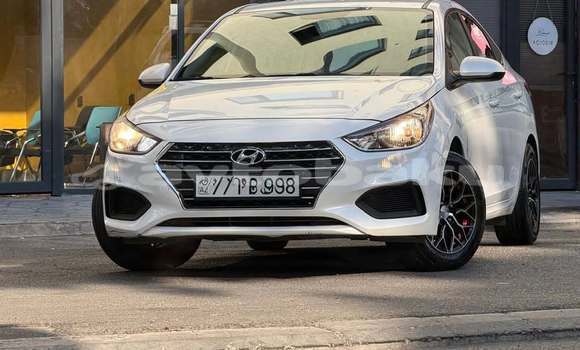Buy Used Hyundai Elantra White Car in Baki in Abseron