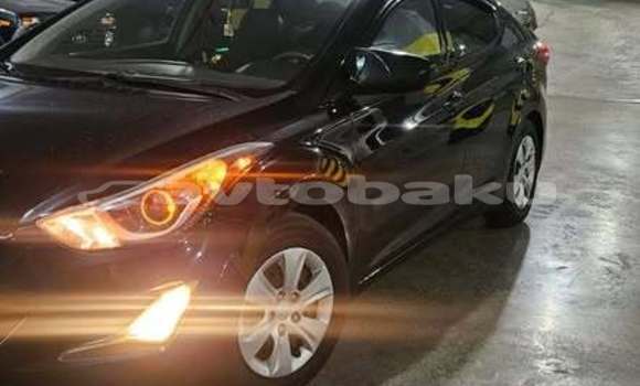 Buy Used Hyundai Elantra Black Car in Baki in Abseron