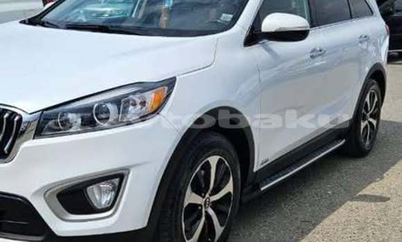 Buy Used Kia Sorento White Car in Baki in Abseron