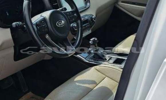 Buy Used Kia Sorento White Car in Baki in Abseron Buy Used Kia Sorento White Car in Baki in Abseron