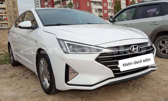 Buy Used Hyundai Elantra White Car in Baki in Abseron