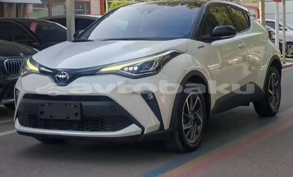 Buy Used Toyota C-HR White Car in Baki in Abseron