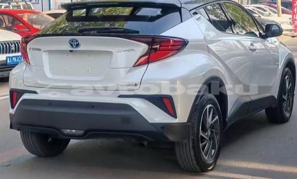 Buy Used Toyota C-HR White Car in Baki in Abseron Buy Used Toyota C-HR White Car in Baki in Abseron