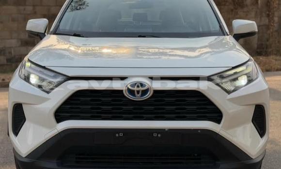 Buy Used Toyota RAV4 White Car in Baki in Abseron